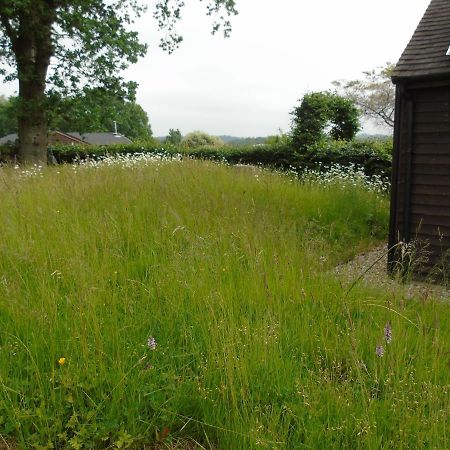 Bond'S Cottage Barn Royal Tunbridge Wells Eksteriør billede